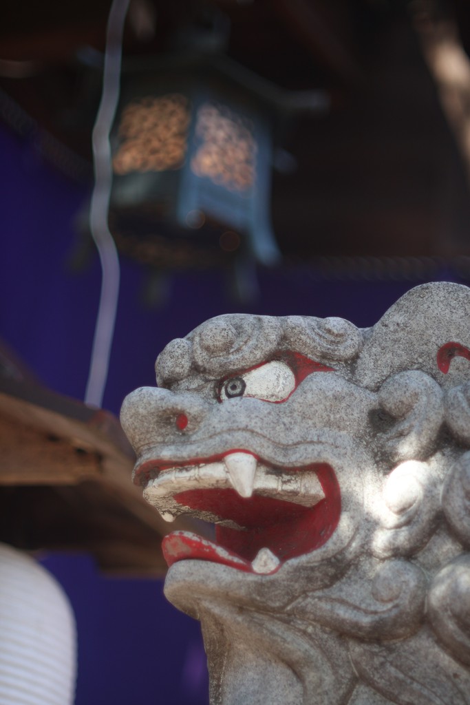 初詣　物部神社