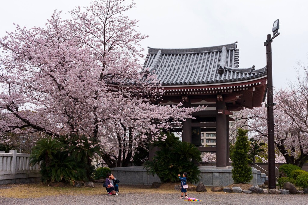 覚王山　日泰寺　ハイ、チーズ