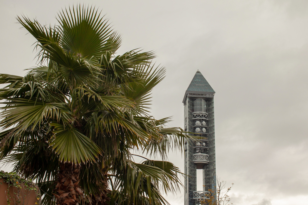 東山スカイタワー　南国風
