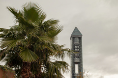 東山スカイタワー　南国風