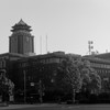 白黒ライカ　その②　役所です　