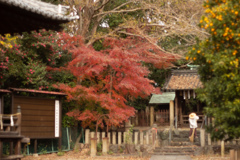 城山神社　オールドレンズ