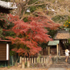 城山神社　オールドレンズ