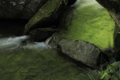 緑色の流れ
