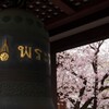 覚王山　日泰寺　鐘と桜