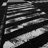 横断歩道