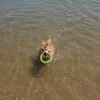 海〜　コロン君