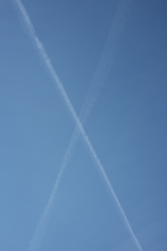 X！　エックス！