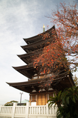 覚王山　日泰寺