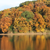 猫が洞（ねこがほら）池の紅葉