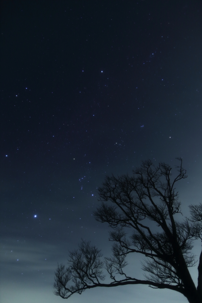 群青の星空