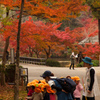 紅葉と黄色い帽子