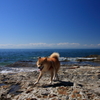 岩場もなんのその