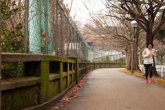 東山動物園　側道　苔のカーブ