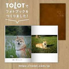 ＴＯＬＯＴ フォトブック