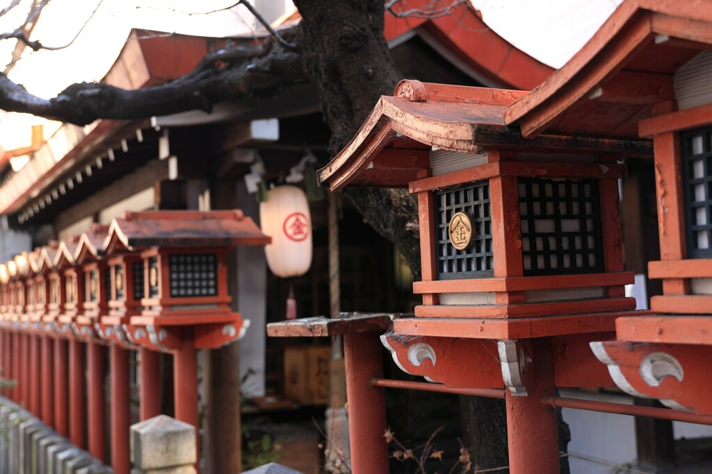 円頓寺商店街スナップ　金