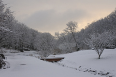 いつもの公園も雪化粧　