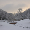 いつもの公園も雪化粧　