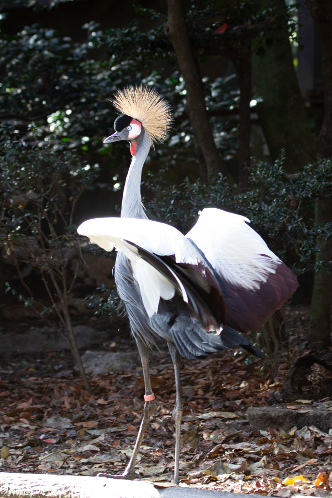 バードホール　その②