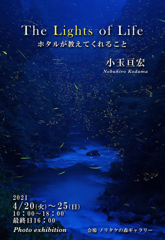小玉先生の写真展のご案内　名古屋のノリタケの森にて