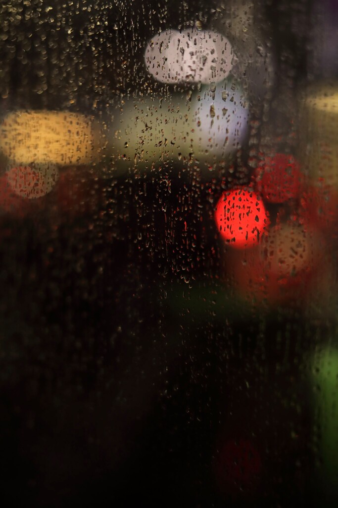 水滴　雨スナップ in 今池　