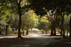 平和公園　散歩道