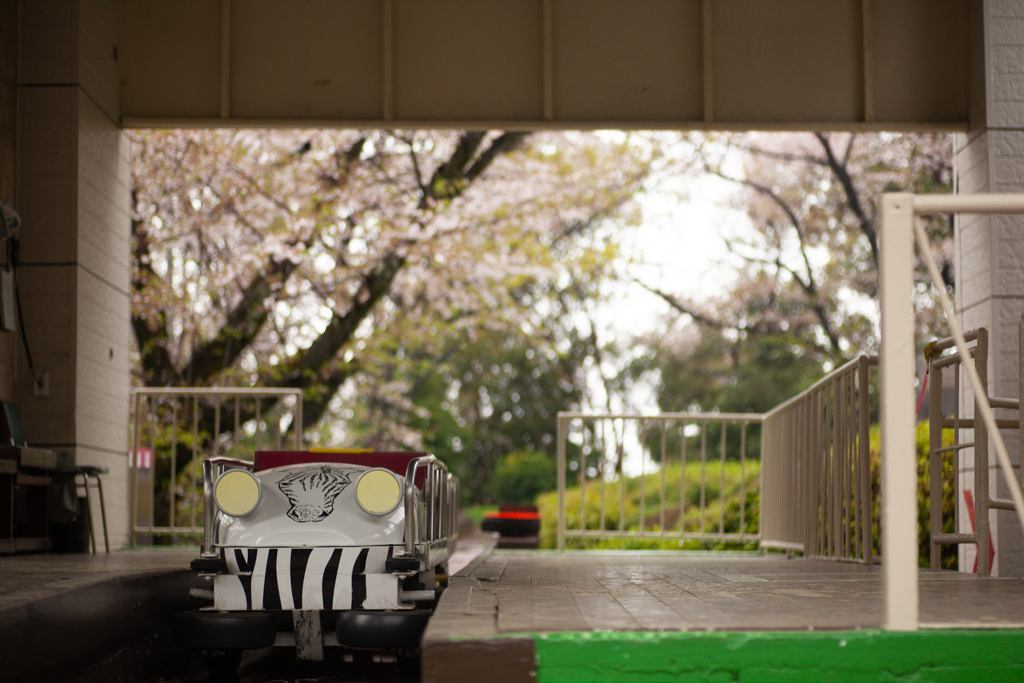 スロープシューターと桜
