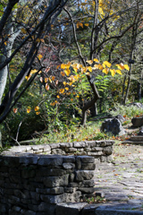 石垣と紅葉　東山動植物園