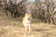 トンネル抜けて