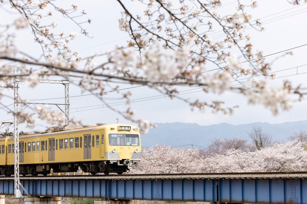 颯爽と走る