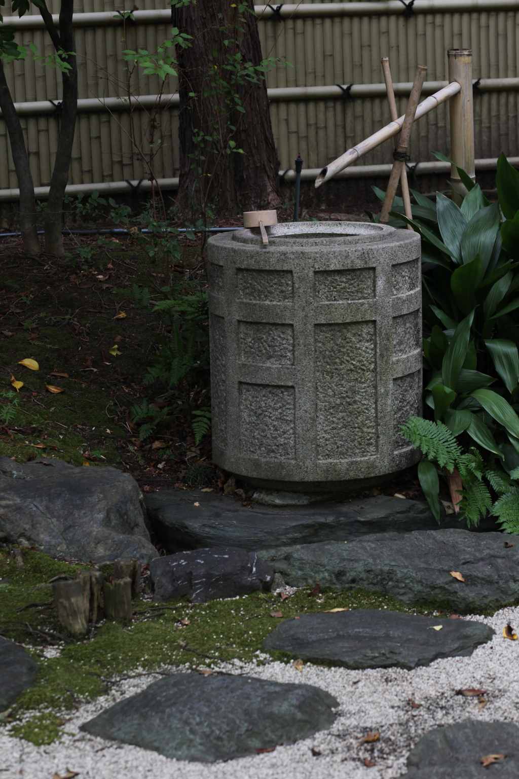 撮り直し　水場