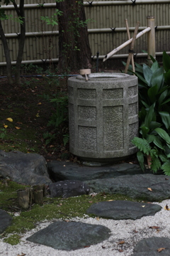 撮り直し　水場