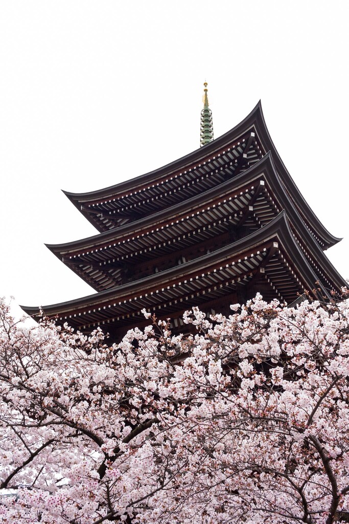 覚王山　日泰寺　②