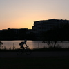 夕日と自転車
