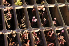 ひめつるそば　道端編　