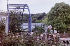 東山動植物園　ローズガーデンのゲートと薔薇