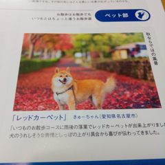 キャノンフォトサークル三月号