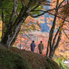 紅葉　まだ早いみたい　香嵐渓