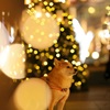 メリークリスマス　