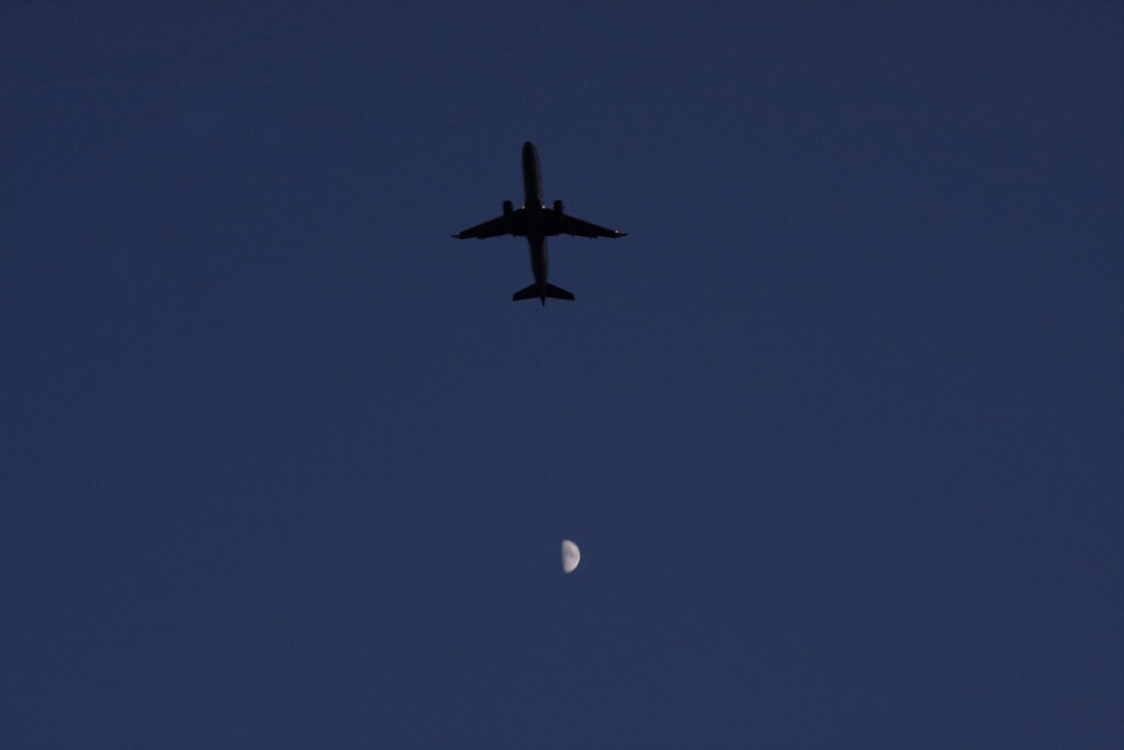 飛行機と半月