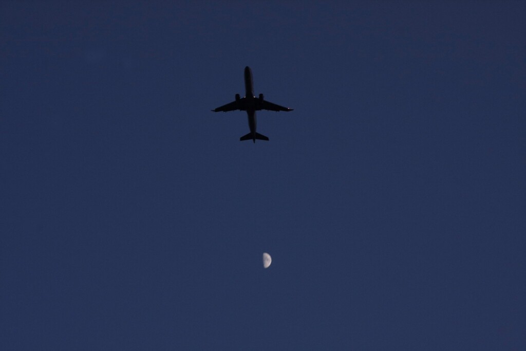 飛行機と半月