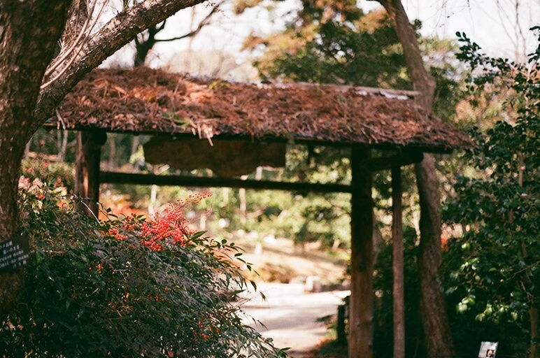 なんてんと門　フィルム