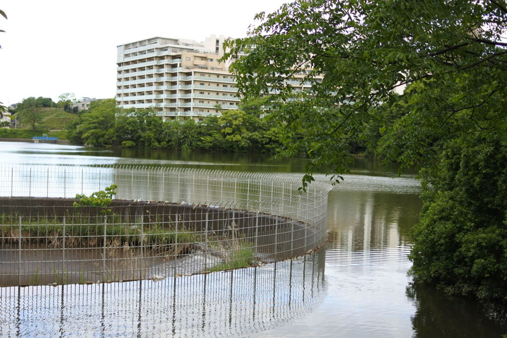 猫が洞池　取水口