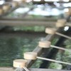 熱田神宮　その③　手水場