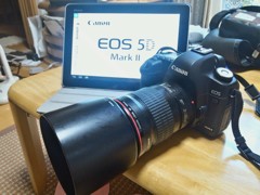マニュアル読み直し　CANON 5D Mark Ⅱ