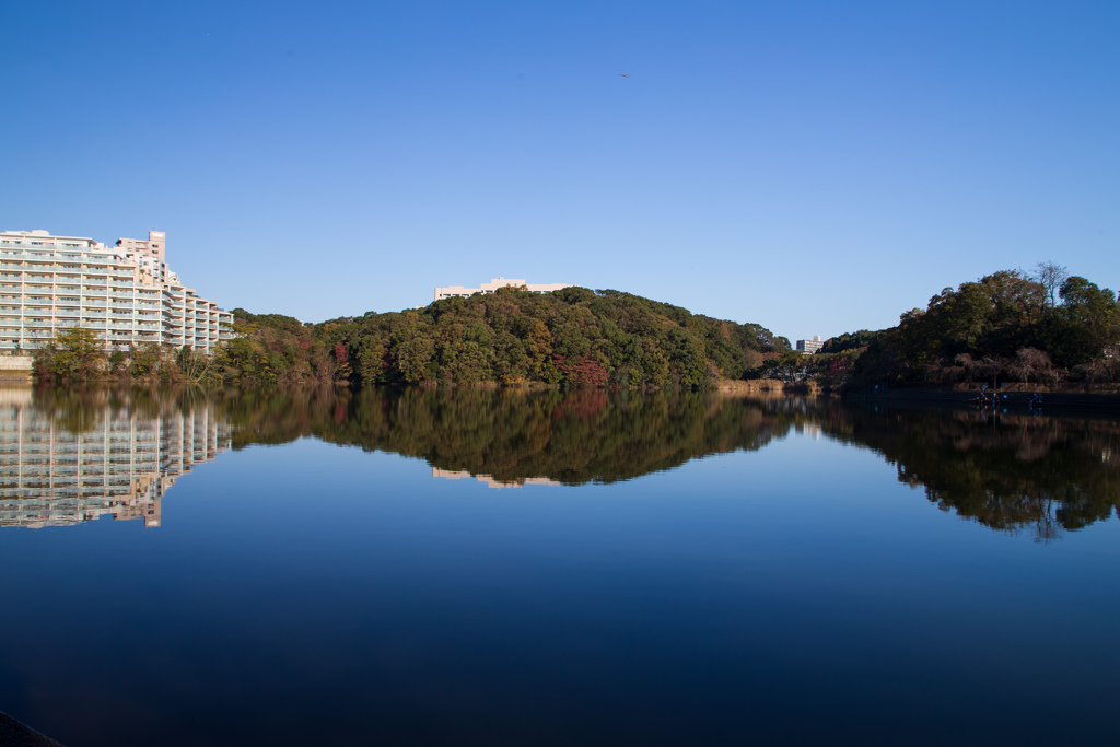 猫洞池（ねこがほらいけ）