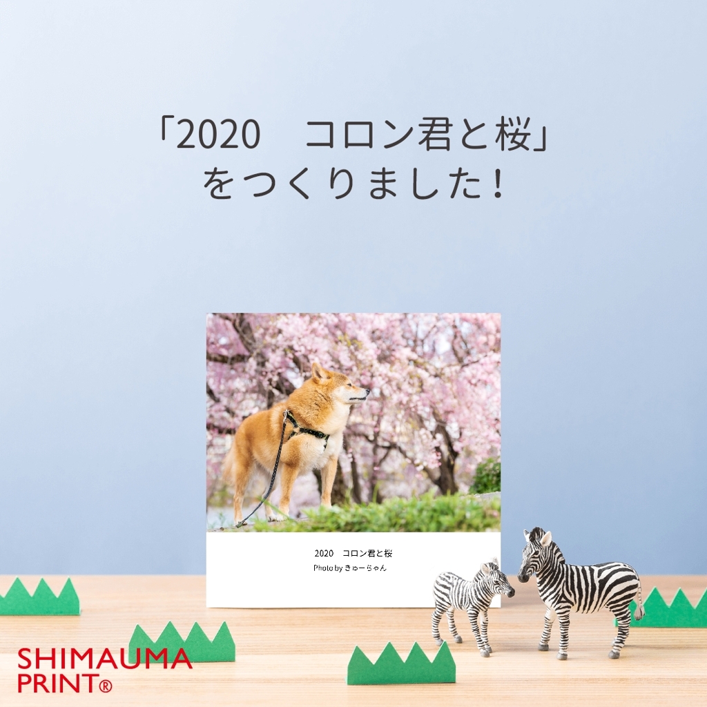 しまうまプリントフォトブック　コロン君写真集29冊目