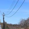 電線