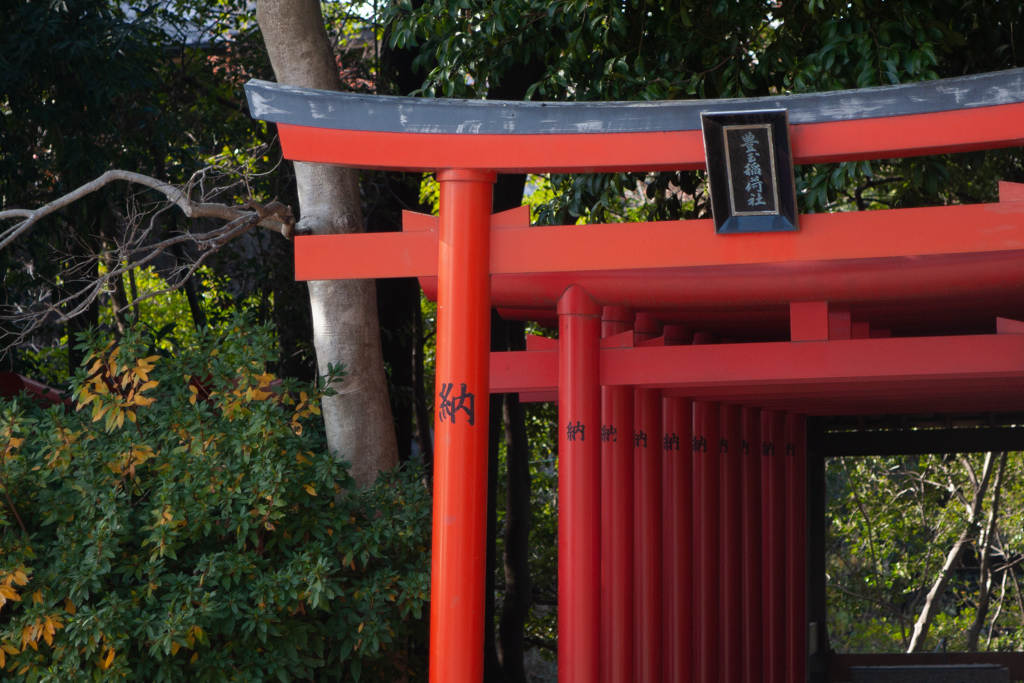 鳥居　切り取り始め