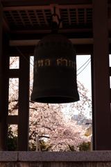 覚王山日泰寺（かくおうざん　にったいじ）